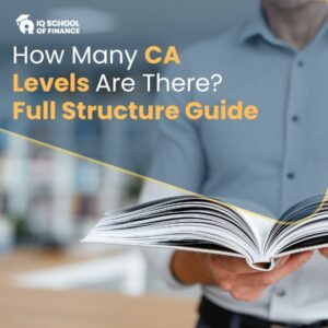 How Many CA Levels Are There? Full Structure Guide