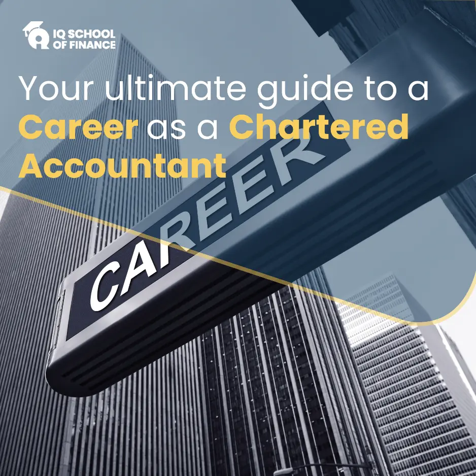 Career as a Chartered Accountant